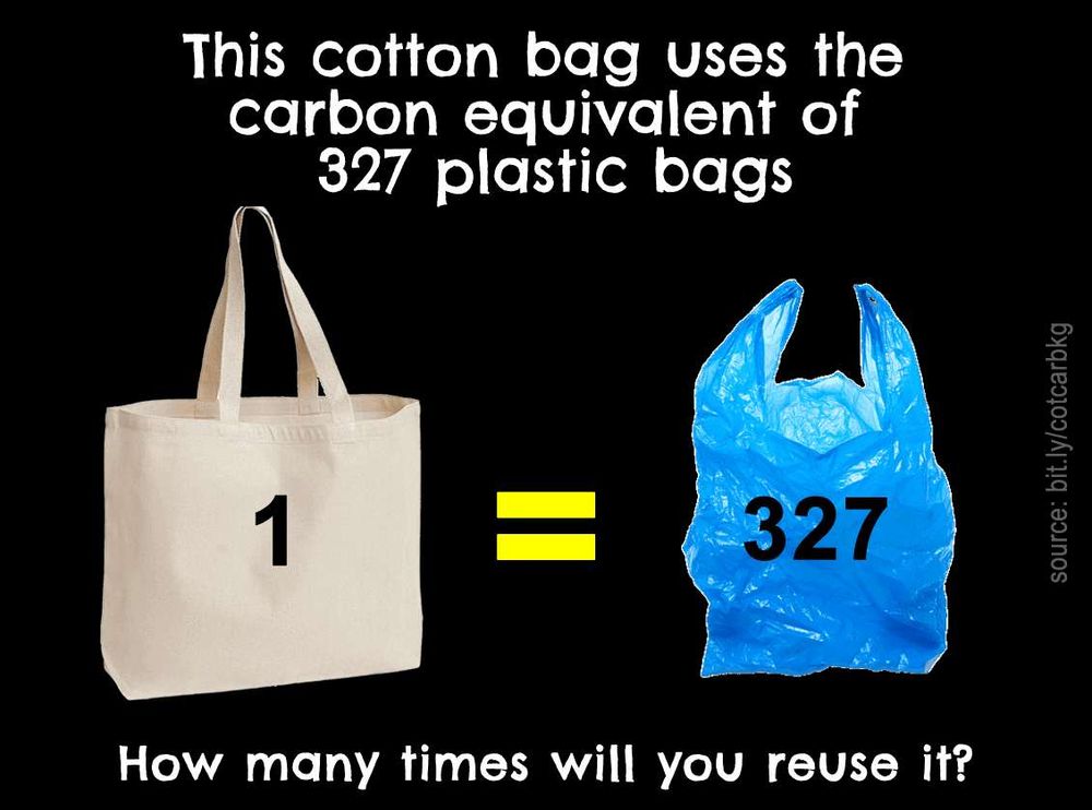 Recyclopedia.sg your reusable bag? Use plastic!